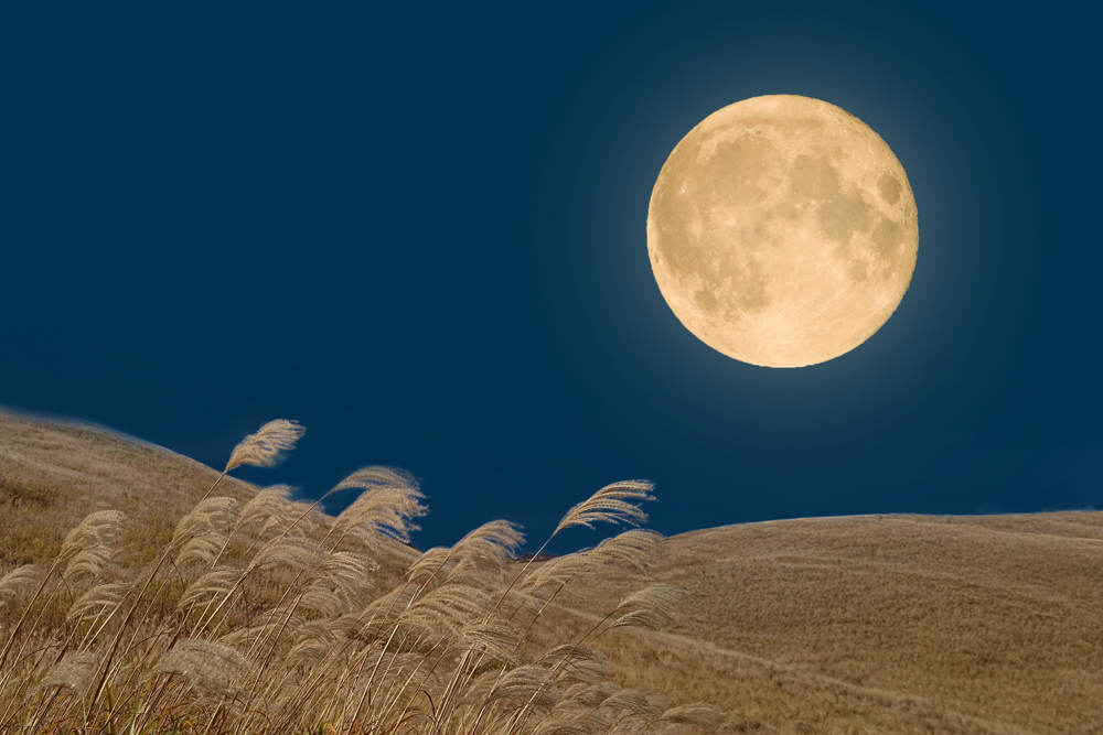 9月の健康アドバイス